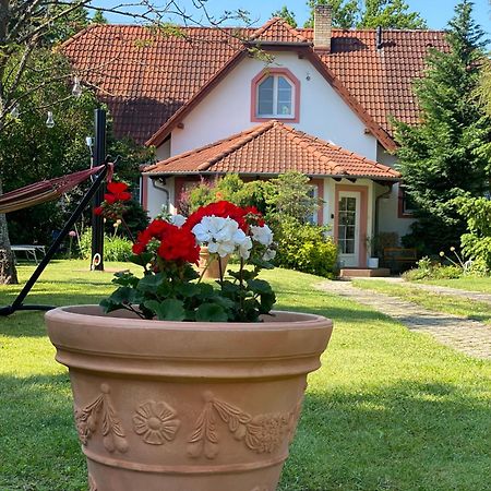 Vila Evio Třeboň Εξωτερικό φωτογραφία